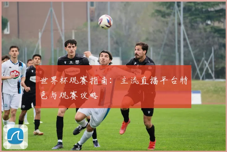 世界杯观赛指南：主流直播平台特色与观赛攻略