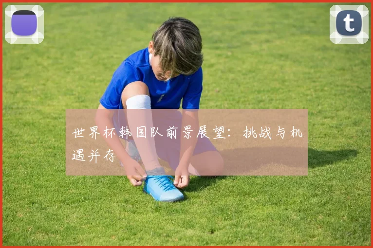 世界杯韩国队前景展望:挑战与机遇并存