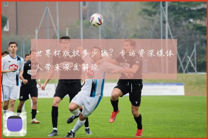 世界杯版权多少钱？专访资深媒体人带来深度解读