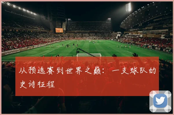 从预选赛到世界之巅:一支球队的史诗征程