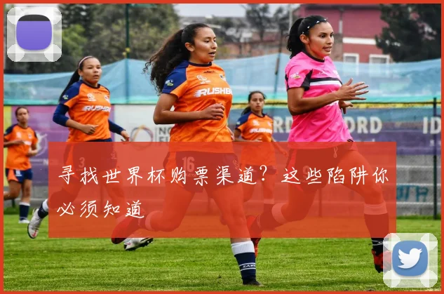 寻找世界杯购票渠道?这些陷阱你必须知道