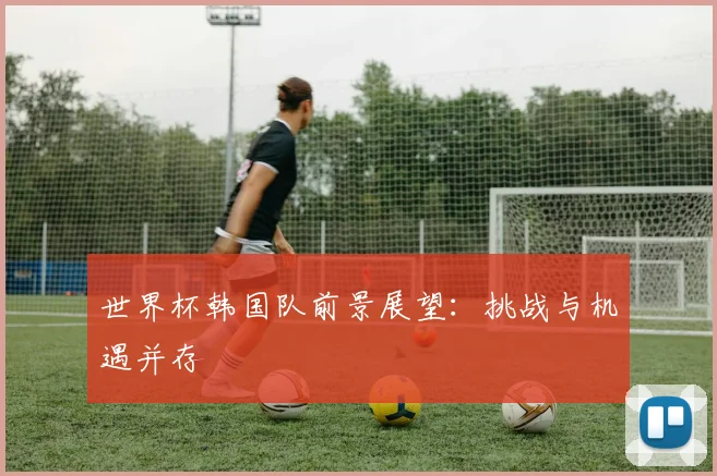 世界杯韩国队前景展望：挑战与机遇并存