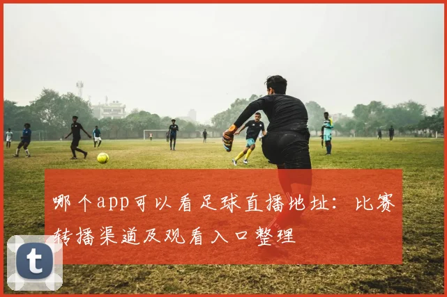 哪个app可以看足球直播地址：比赛转播渠道及观看入口整理